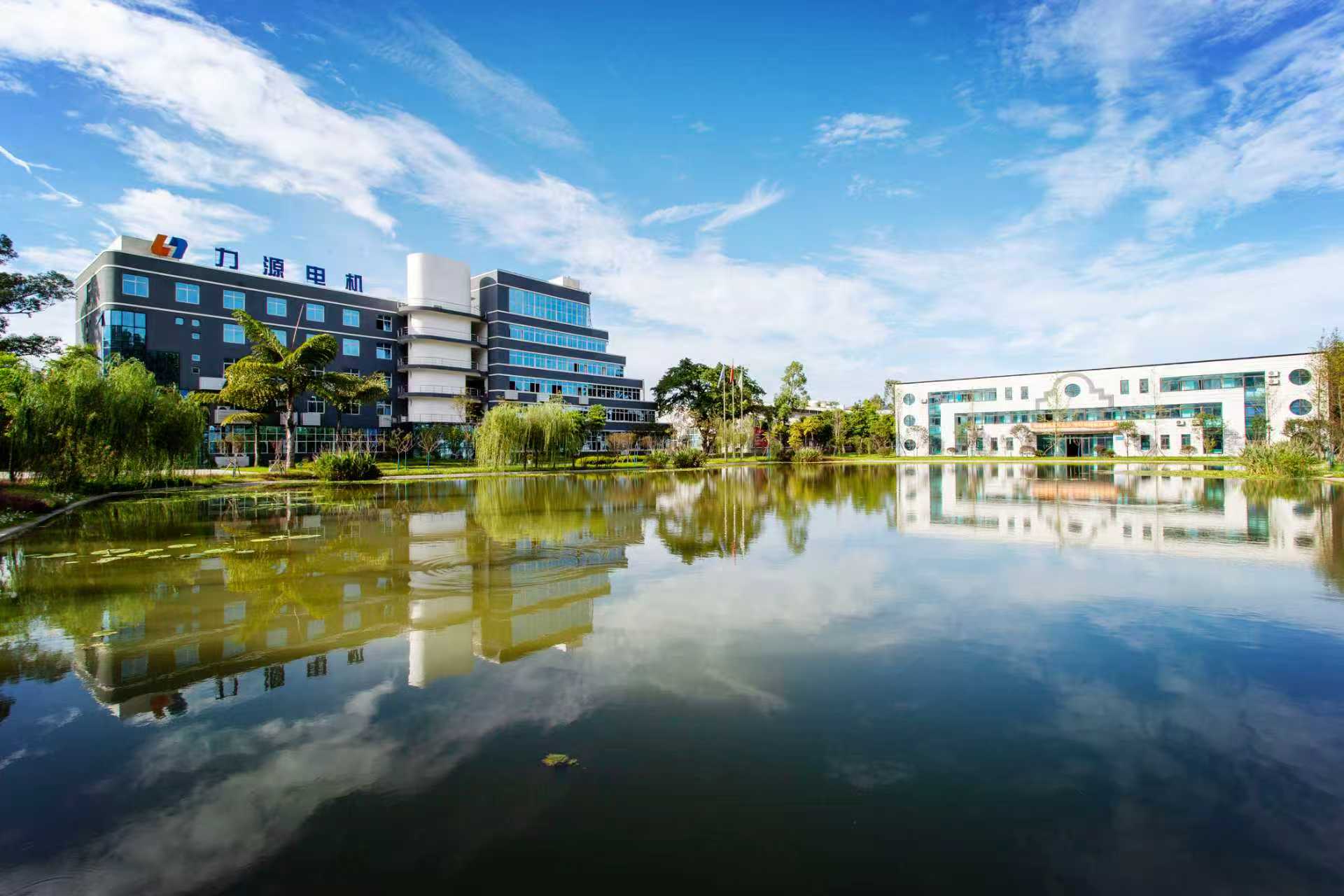 Sichuan Yibin Liyuan Electrical Machine Co.,Ltd