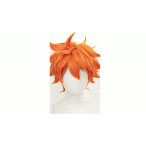 Wig Cosplay Haikyuu Hinata Shoyo – Etalase Produk
