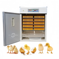Electric 880 Incubator Chicken Egg Hatching Machine for Sale1