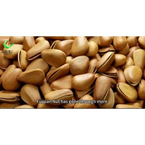 Company promotional video