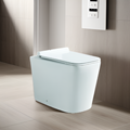 Modern European Concealed Cistern Toilet with Remote Control1