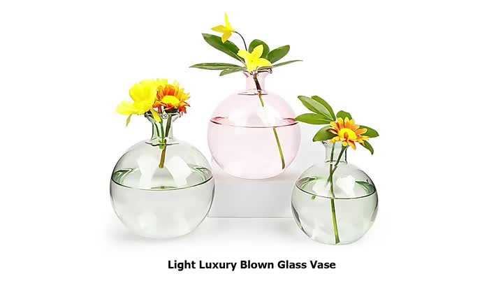 Vase en verre de 240 ml 460 ml