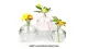 Vas bunga kaca 240ml yang ditiup untuk hiasan rumah