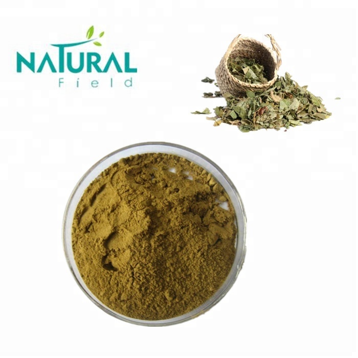 Horny Goat Weed Powder Epimedium Extract 10% Icariin