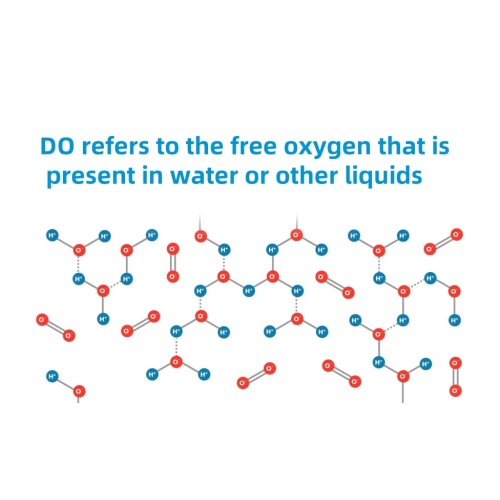 What is Water Dissolved Oxygen?