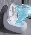 Export Standard Bathroom Ceramic Sanitary Ware: One-Piece Toilet Bowl for Handicapped Persons1