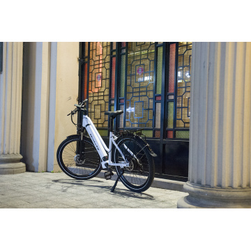 List of Top 10 Ebike Kit Brands Popular in European and American Countries