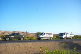 Turpan Ayding Lake Little Bird Aid
