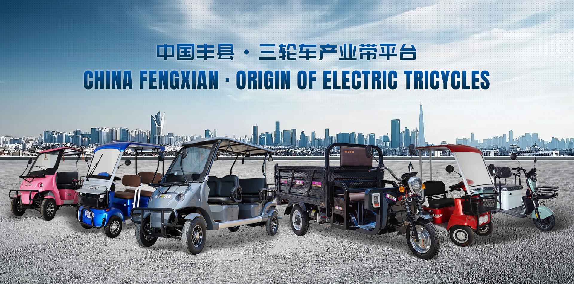 Leisure Electric Tricycle