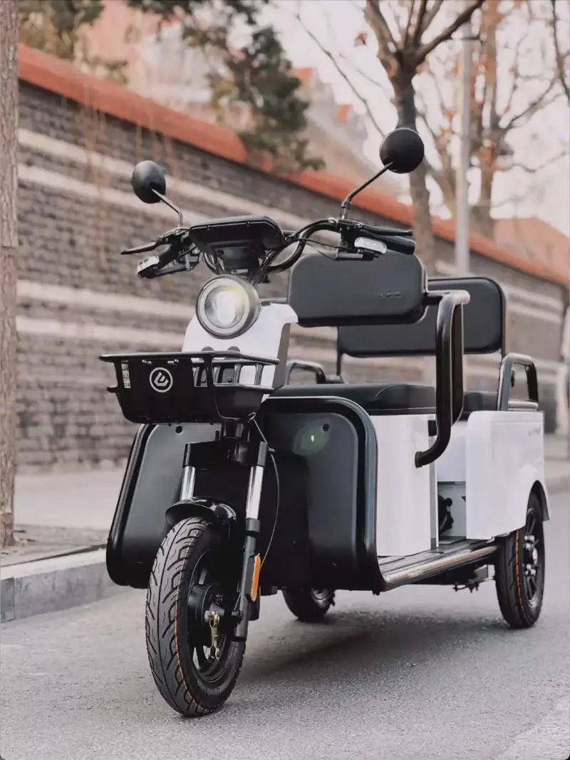 Leisure Electric Tricycle