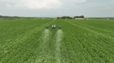 Aardappel ongediertebestrijding, T60 helpt boeren de productie te stabiliseren en inkomsten te verhogen