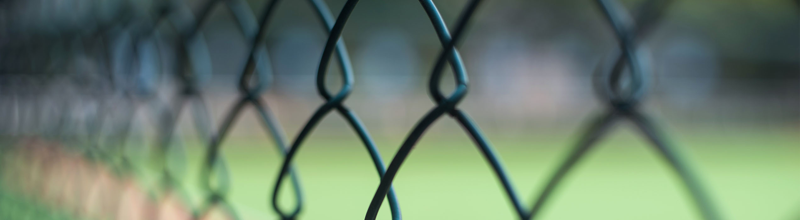 Wire Mesh