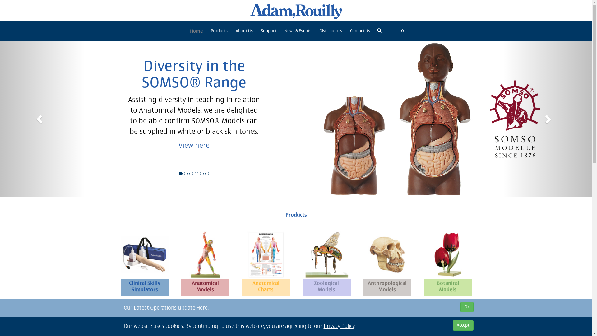 List of Top 10 Medical Training Manikin Brands Popular in European and ...