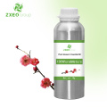 100% Pure And Natural Plum Essential Oil High Quality Wholesale Bluk Essential Oil For Global Purchasers The Best Price