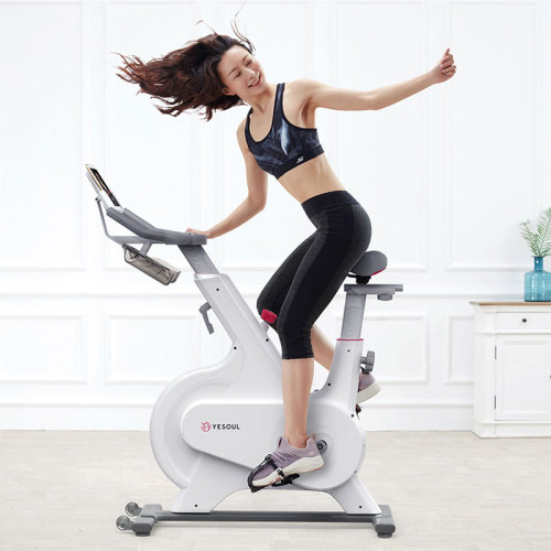 YESOUL M1 Pro Spinning Bike with Smart APP