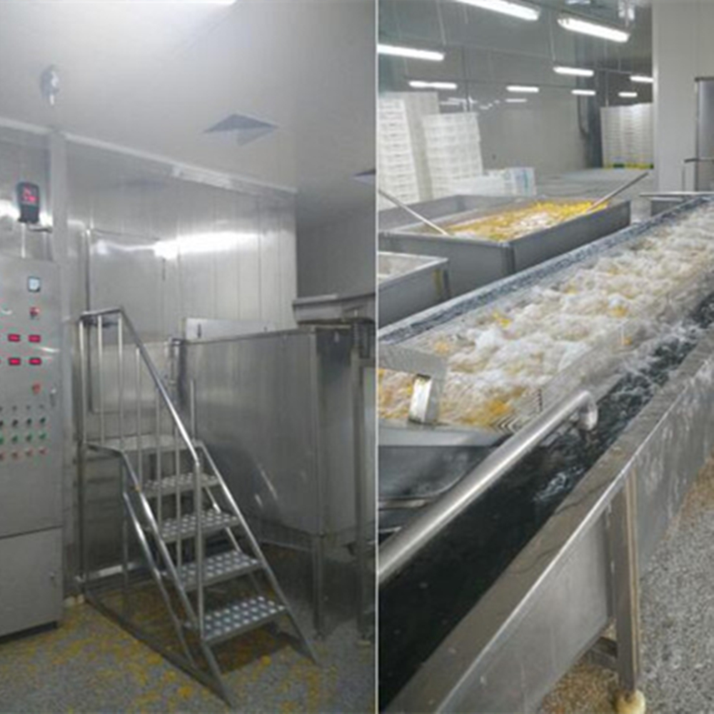 Iqf Fludized Tunnel Freezer For Corn