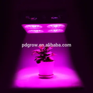 power greenhouse 3gp led grow light