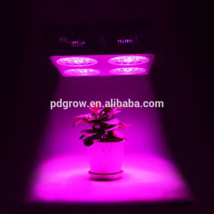 plant grow lights walmart,grow light lamp
