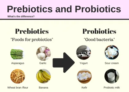 Low Fat Food Additives soluble dietary fiber polydextrose