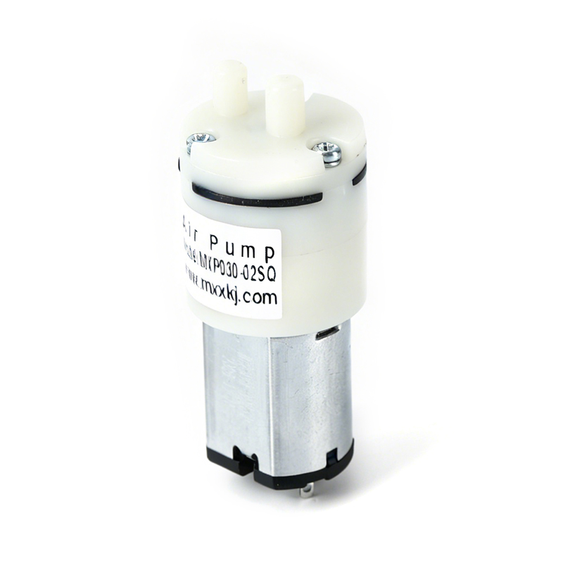Miniature Air Water Dual-Purpose Pump