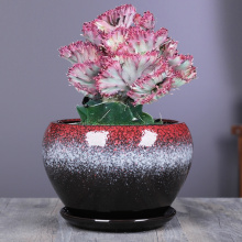 Home Depot Keramik Blume Pflanzgefäße