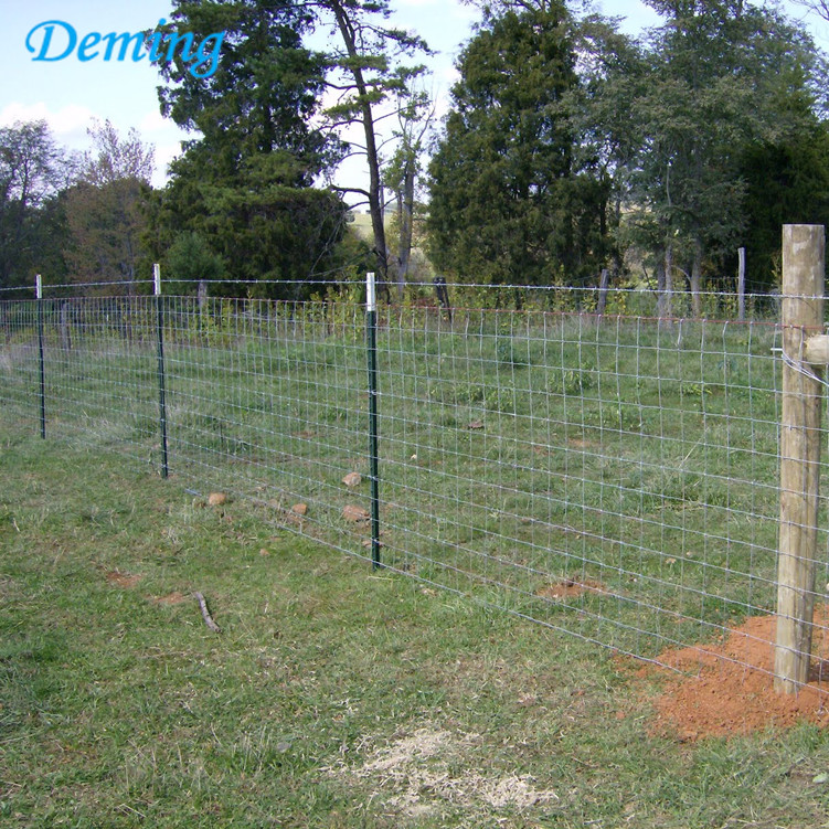 Galvanized Or Painted T Fence Post