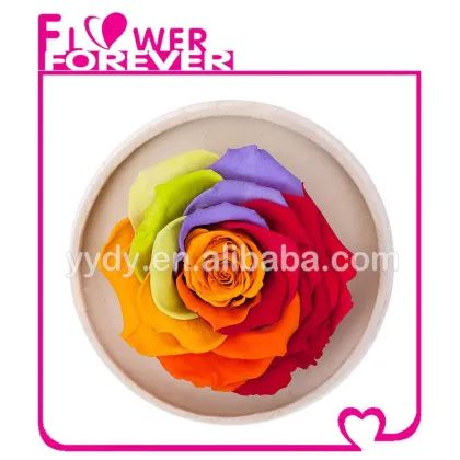 Best Gift Preserved Natural Rose