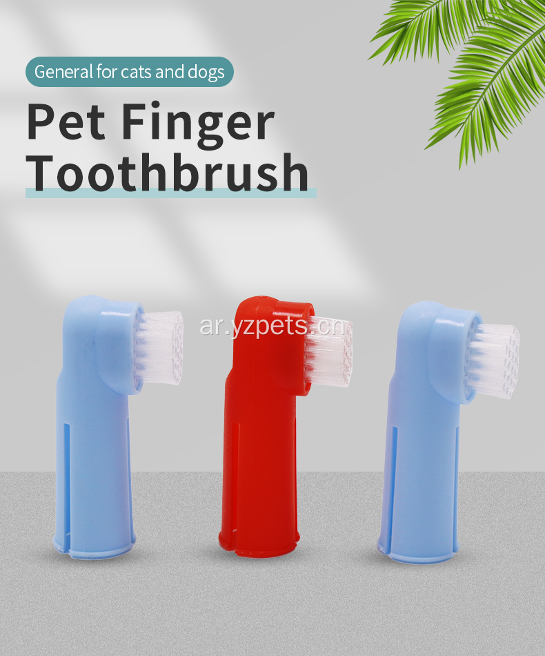 فرشاة أسنان بلاستيكية للحيوانات الأليفة