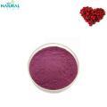 10:1 bilberry extract powder in stock