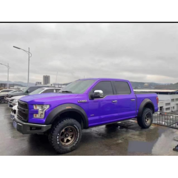 Ford F150 2015-2017 Camión Fender Bolres ABS ABS Plastic Back Fender Boldes