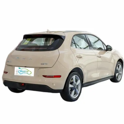 Long Endurance 400km Electric Car with Standard Battery