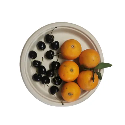 dinner plate sugarcane disposable plates degradable dish