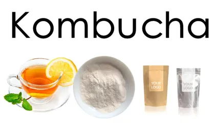 Wholesale Organic Kombucha Tea Extract Powder