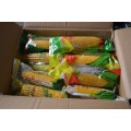 Fresh Sweet Corn 2018 nieuw gewas