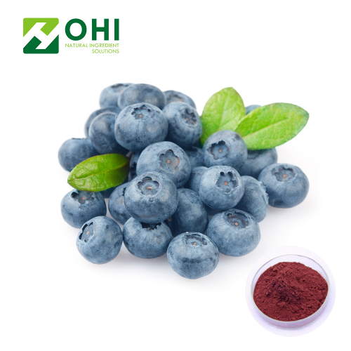 Bubuk ekstrak blueberry Anthocyanosides Anthocyanidin