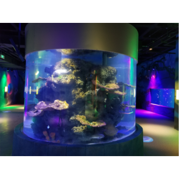 Grand aquarium de nage de poisson en acrylique transparent cylindrique
