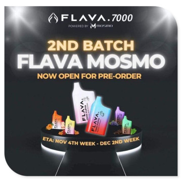 FLAVA 7000 Puffs Disposable Vape Wholesale Price