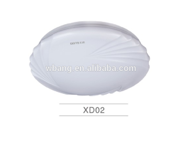 CEILING LIGHT
