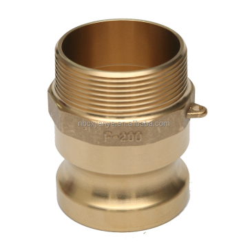 Brass Cam and Groove Coupling with Male Thread Type F/Camlock: Your Reliable Search Engine for Industrial Fittings