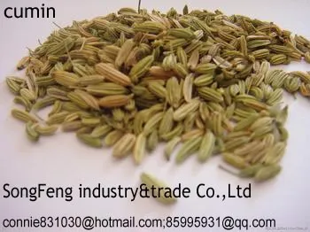 cumin seeds,cumin, fennel,jeera seeds