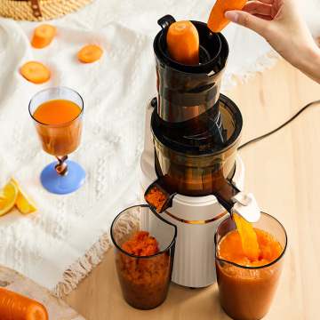 Korea Low Noise Masticating Juicer for Household Use