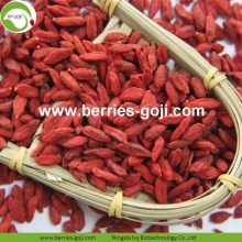 Factory Hot Sale Dried Tibet Wolfberry