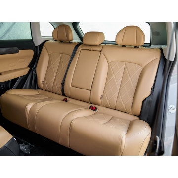 Leapmotor C11 Executive Version Luxurious Electric SUV