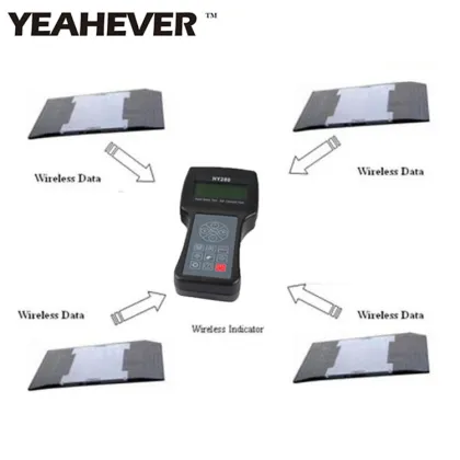 Electronic Belt Weigher and Platform Scale Solutions