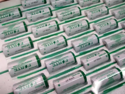 3.6V Lithium Battery Er18505 3500mAh Gp Batteries with Wires Connector