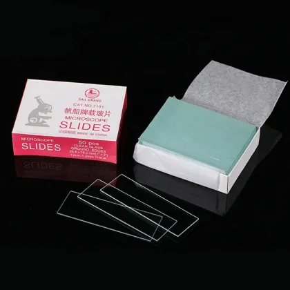 BP-7101 Prepared Glass Microscope Slides - Scientific Supplies