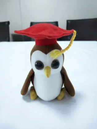 Doctor Plush Bird Toys