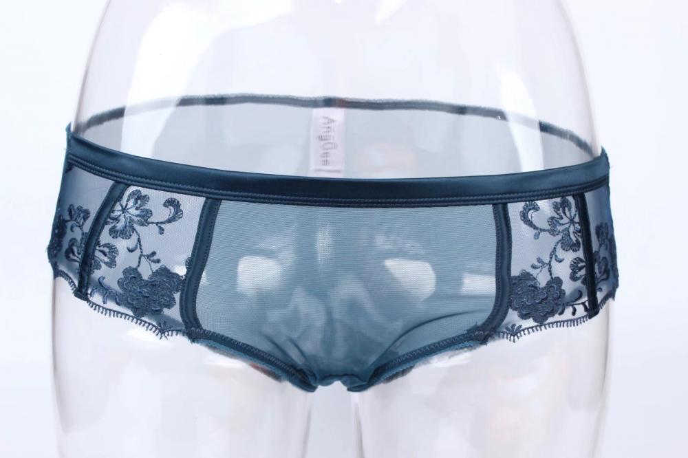 Eyelash Lace Embroidery Panty Blue