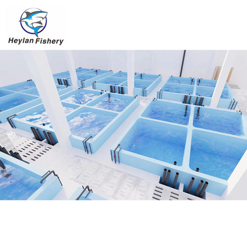 Industrial Fish Farm System: RAS and Recirculating Aquaculture Equipment for Indoor and Outdoor Use
