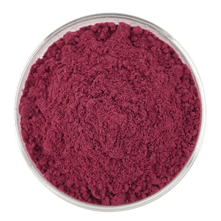 Dragon Fruit Powder